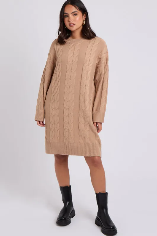 Camel Crew Neck Mini Dress